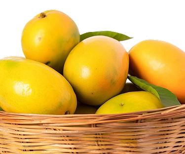 Fresh Mangoes Basket
