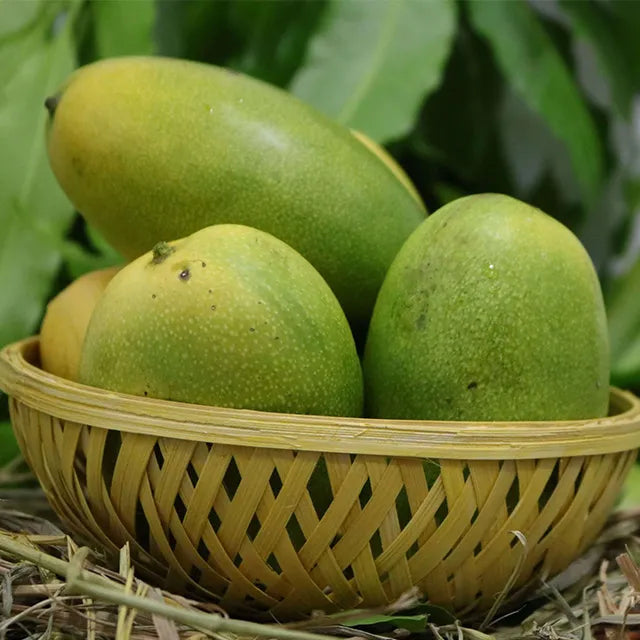 Exotic Mangoes
